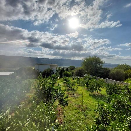 Guest House Xhaferaj Berat Exterior photo